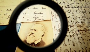 En eldre Darwin.