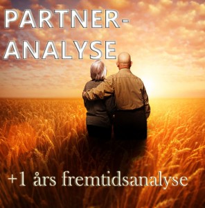 PARTNERANALYSE-296x300