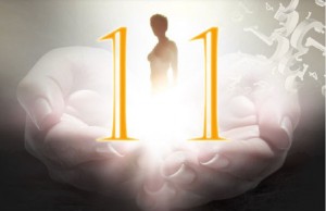 11t