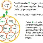 tallet 7