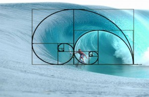 surffibonacci