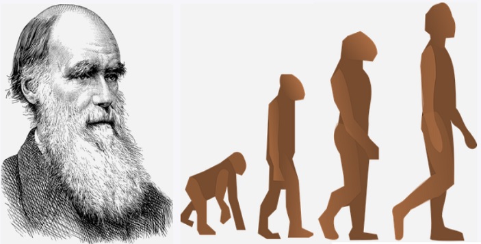 TALLENE BAK NATURFORSKEREN CHARLES DARWIN.  (A).