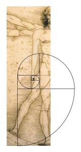 vitruvian mann