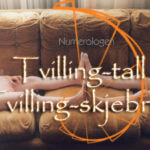 tvillinglogo1