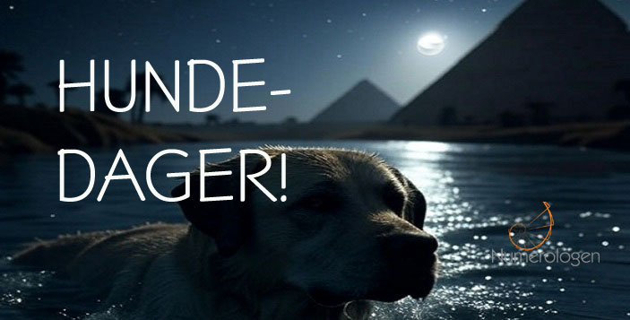 PASS PÅ KJØLESKAPET, SNART ER DET HUNDEDAGER!